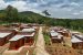 Tamil Nadu’s Mahout Villages