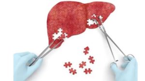 WHO Classifies Hepatitis D as Cancerous Virus