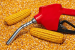 India-US Corn Trade Dispute and Ethanol Policy