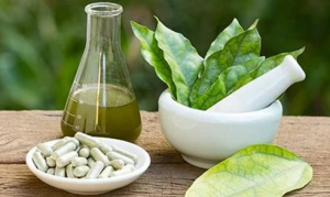 Global Rise of Traditional Medicine and Ayurveda in 2025
