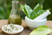 Global Rise of Traditional Medicine and Ayurveda in 2025