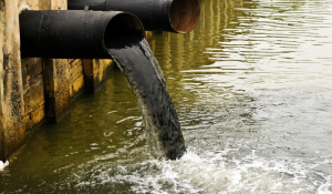 India’s River Pollution Levels Show Gradual Improvement