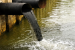 India’s River Pollution Levels Show Gradual Improvement