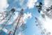 India Expands Telecom Security Testing Laboratories Network