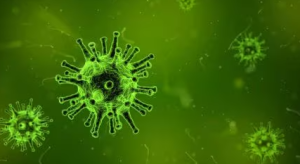 Rise of Drug-Resistant Bacteria in the United States