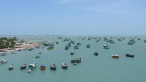 Tamil Nadu Coastal Restoration Mission