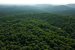 India’s Forest Environmental Accounting Advances in 2025