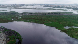 National Green Tribunal Halts Construction Near Pallikaranai Marsh