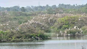 India Adds Two More Ramsar Wetlands In Bihar
