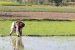 PM-KISAN 21st Instalment Supports Flood-Hit Farmers