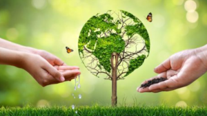पर्यावरण लेखा परीक्षा नियम 2025: भारत में पर्यावरण अनुपालन की निगरानी में बड़ा सुधार