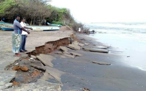 तमिलनाडु का TN-SHORE मिशन: समुद्री जैवविविधता की रक्षा और तटीय पुनर्स्थापन की दिशा में ऐतिहासिक पहल