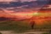 Arunachal Pradesh Hosts Inaugural Sunrise Festival