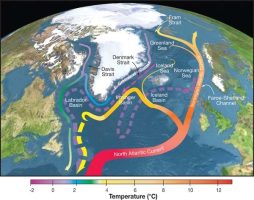 Atlantic Meridional Overturning Circulation Collapse