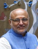 Evolution and Role of Vice President