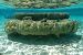 Coral Microatolls Reveal Early Indian Ocean Sea-Level Rise
