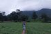 Dongar Cultivation Threatened by Eucalyptus Monoculture in Odisha