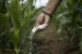 India’s Fertiliser Demand Soars