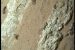 NASA Finds Potential Biosignatures on Mars Surface