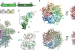 Protein P47