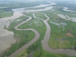 Single and Multi-Thread Rivers Dynamics
