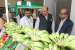 APEDA Boosts India’s Agri-Food Exports at World Food India 2025