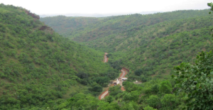 Goa Wildlife Clearance for Iron Ore Handling Proposal