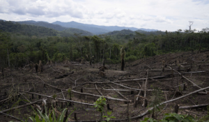 Amazon Flying Rivers Threatened by Deforestation Impact