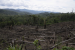 Amazon Flying Rivers Threatened by Deforestation Impact