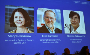 Nobel Prize 2025 Awarded for Immune System Discovery