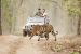 Bhupender Yadav Launches Five Wildlife Conservation Projects