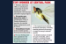 New Wasp Species Discovered in Salt Lake