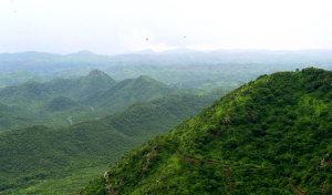 Haryana Sets 100m Height Criterion for Aravali Hills