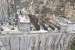 Kiru Hydroelectric Project Hits Dam Concreting Milestone