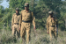 WTI Marks 25 Years of Van Rakshak Project, Honours India’s Forest Protectors
