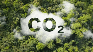 UN Reports Record CO2 Rise in 2024