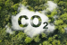 UN Reports Record CO2 Rise in 2024