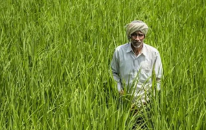 प्रधानमंत्री धन-धान्य कृषि योजना के तहत 100 आकांक्षी कृषि ज़िलों की घोषणा