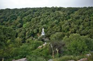 अरावली की नई परिभाषा पर हरियाणा सरकार का निर्णय: संरक्षण या विनाश का मार्ग?