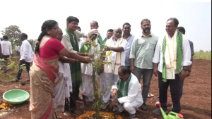 आदिलाबाद के मुल्लगुट्टा गांव में कोलाम जनजाति के लिए बांस परियोजना की नई शुरुआत
