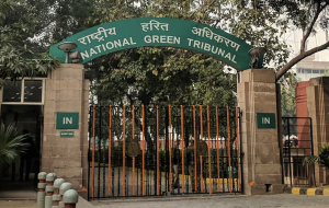 NGT Orders Pollution Report on Markanda River