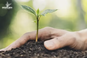 Bamboo Project Launched for Kolam Tribe in Adilabad under Green India Challenge