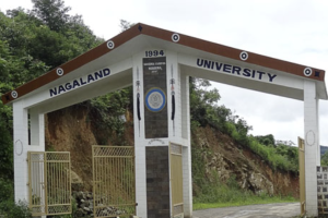 Sinapic Acid: Nagaland University Finds Plant Compound for Diabetic Wounds