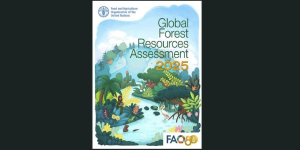 Global Forest Resources Assessment (GFRA) Report 2025 – India Ranks 9th in Forest Area and 5th in Carbon Sinks