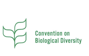 Convention on Biological Diversity Panama Meeting Ends Without Consensus on Biodiversity Recommendations