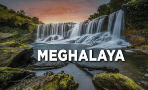 What is MegREAP Initiative?