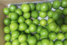 First export of GI-tagged Indi Lime and Puliyankudi Lime to the United Kingdom