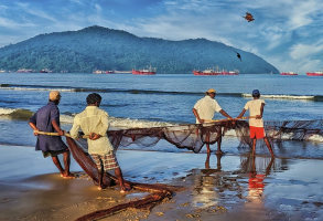5th Marine Fisheries Census (MFC) 2025 to Commence Across Coastal States