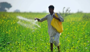 रबी 2025 के लिए ₹37,952 करोड़ की उर्वरक सब्सिडी: केंद्र सरकार का निर्णय