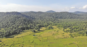 OHRC Seeks Full Records on Satkosia Tiger Reserve Village Relocation Irregularities